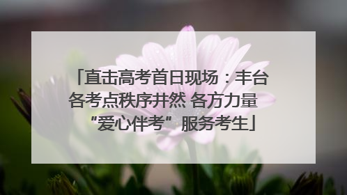 直击高考首日现场：丰台各考点秩序井然 各方力量“爱心伴考”服务考生